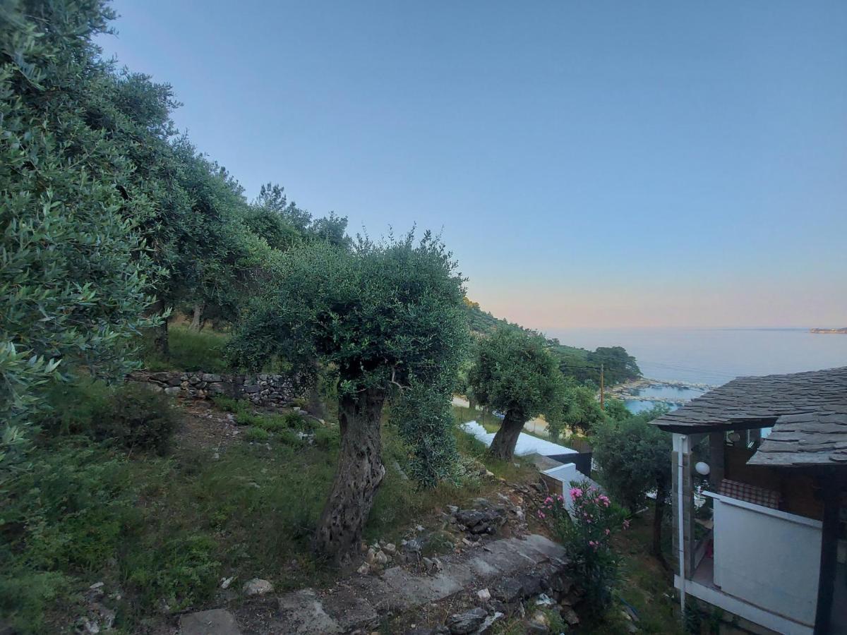 Dionysos Hotel Skála Potamiás Eksteriør bilde